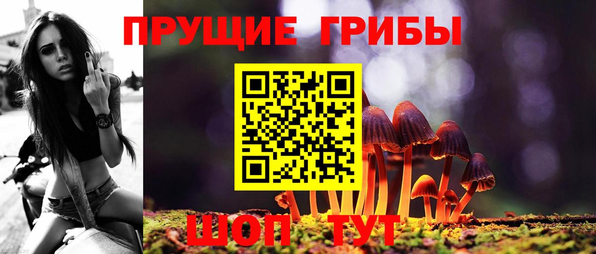 Псилоцибиновые грибы Magic Shrooms Ейск
