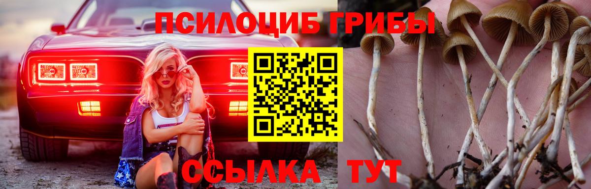 Ейск  Псилоцибиновые грибы мицелий  Вход с VPN 